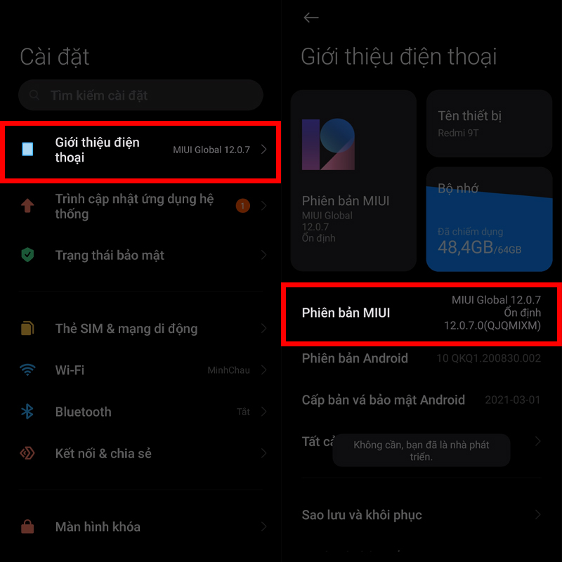 Mở tùy chọn nhà phát triển