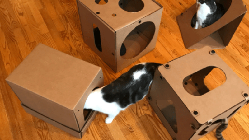 Làm bằng hộp bìa cứng