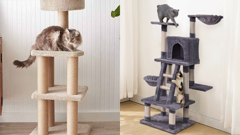 Mẫu cat tree đẹp, thông dụng