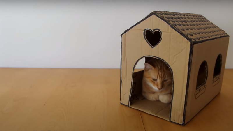 Làm nhà cho mèo bằng thùng giấy đơn giản tại nhà