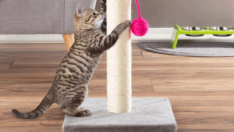 How to make a tree house for cats – beautiful and simple cat scratching posts