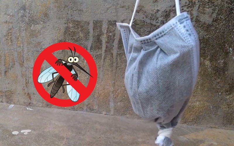 Mùa mưa, treo thứ này ở cửa sổ không một con muỗi nào dám bén mảng vào nhà bạn