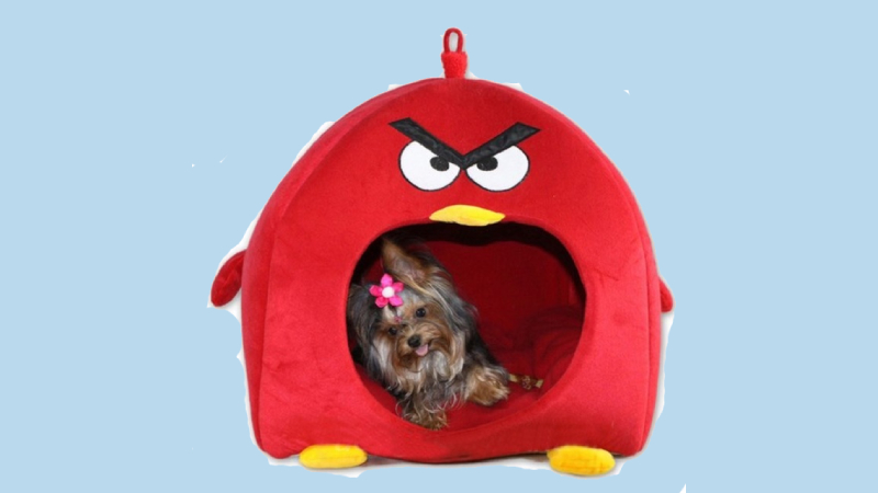 Nhà lều Angry Birds