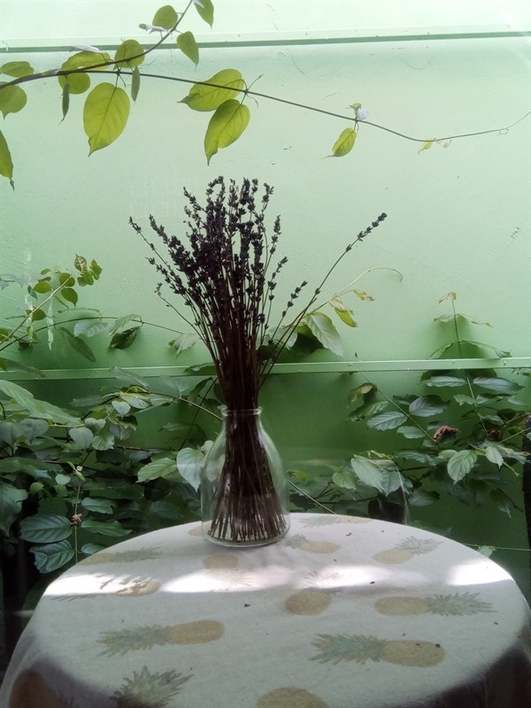 Ảnh chụp bằng Vsmart Star 4 trong môi trường ánh sáng phức tạp Ảnh chụp bằng Vsmart Star 4 trong môi trường ánh sáng phức tạp