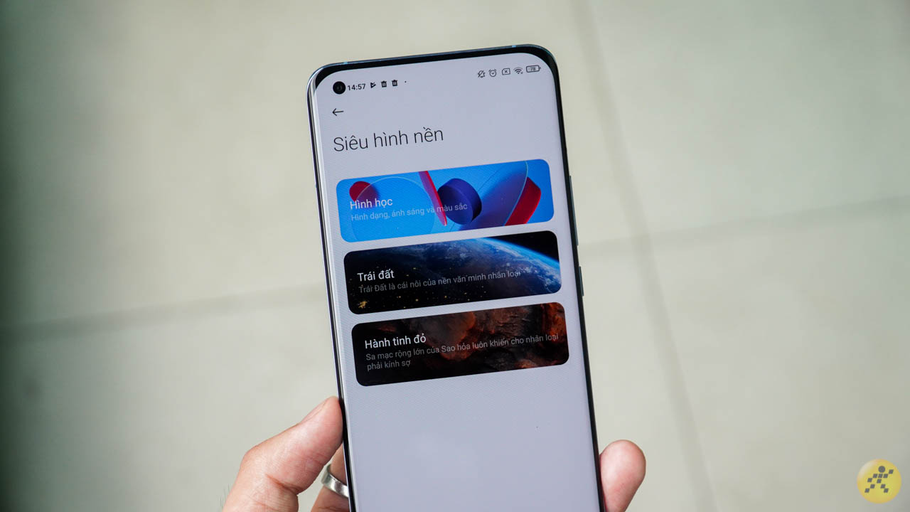 Chế độ siêu hình nền lại rất đa dạng và phong phú