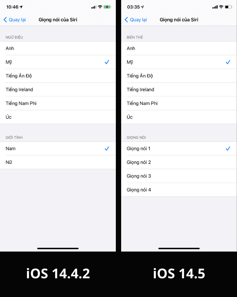 Biến thể giọng Mỹ của Siri đã có thêm các tùy chọn giọng nói mới trong iOS 14.5.