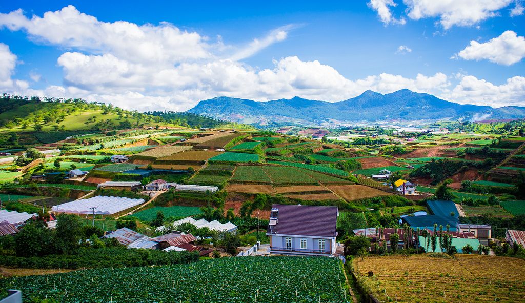 Top những địa điểm check in nổi tiếng khi đi du lịch Lâm Đồng