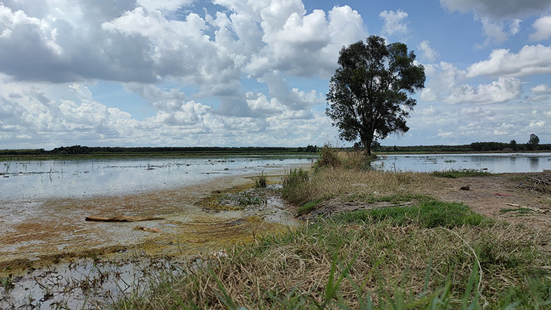 Ảnh chụp camera chính Realme 7 Pro Ảnh chụp camera chính Realme 7 Pro