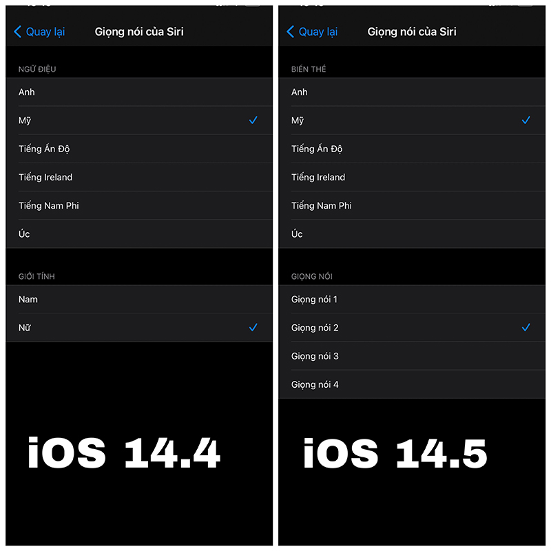iOS 14.5.1 đã cho chúng ta tùy chỉnh thêm 4 tông giọng cho Siri.