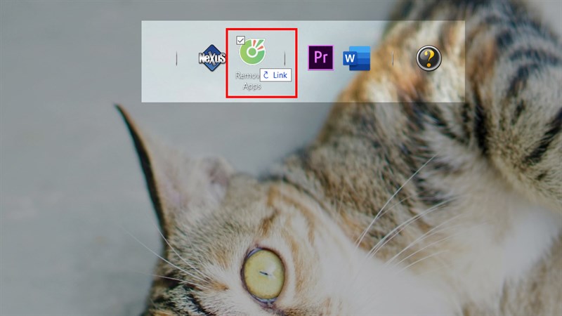 Nexus Dock bước 4 Nexus Dock bước 4