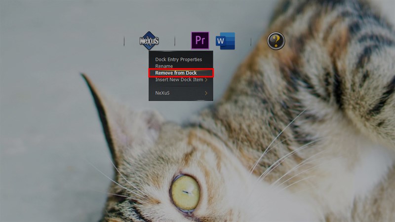 Nexus Dock bước 4 Nexus Dock bước 4