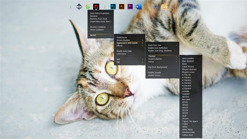 Nexus Dock bước 5 Nexus Dock bước 5