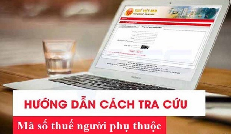 Cách tra cứu mã số thuế người phụ thuộc chính xác nhất