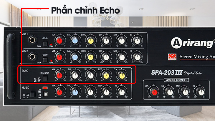 Phần chỉnh Echo