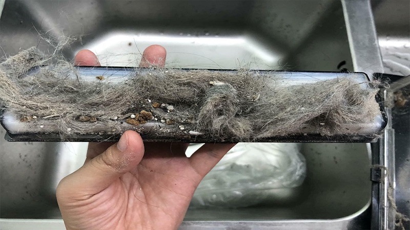 Lông động vật và tóc người tích tụ dày đặc thì gây nóng máy và hư máy