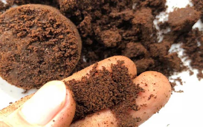 Hạt/bã cà phê, cacao và bột