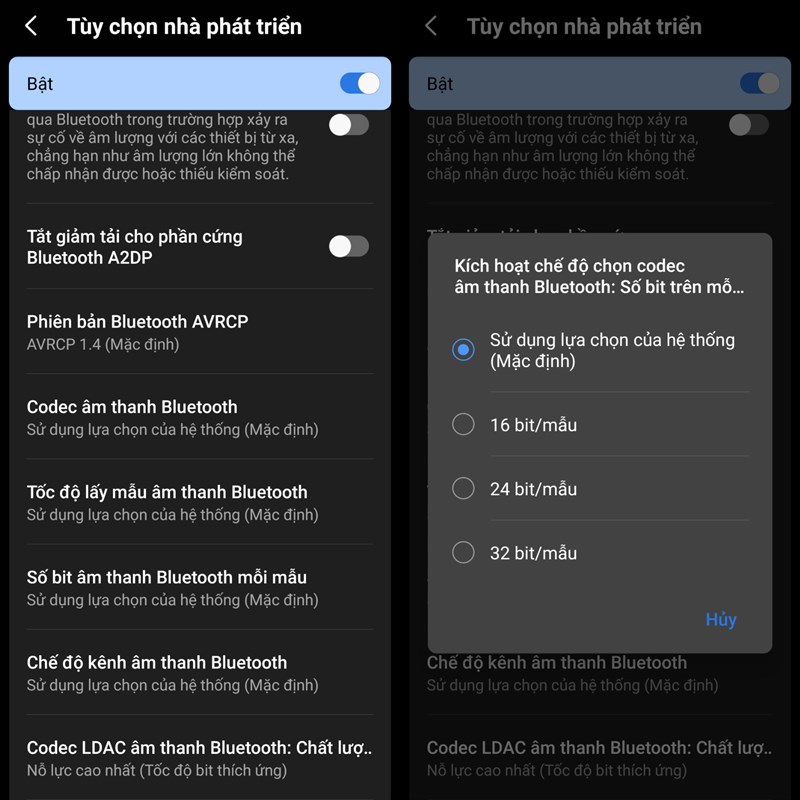 Tùy chọn nhà phát triển