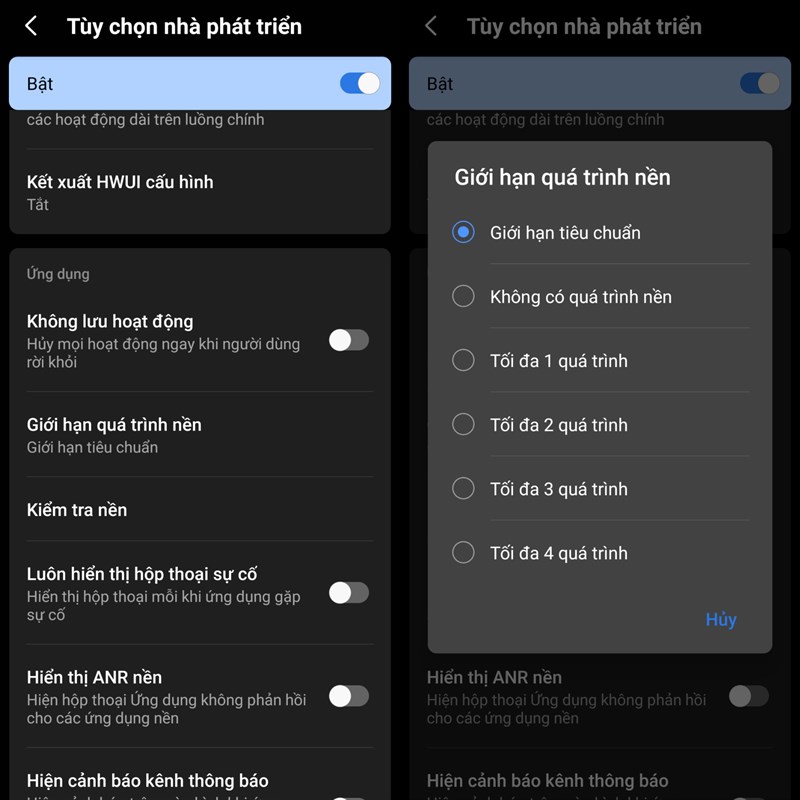Tùy chọn nhà phát triển