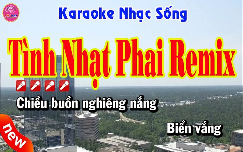 Tình nhạt phai (remix)