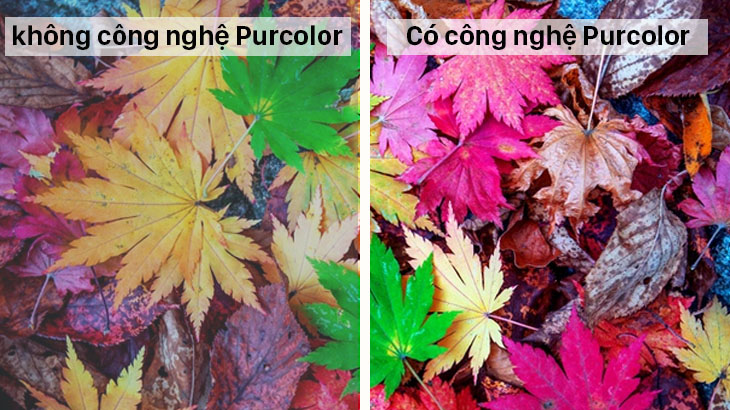 Công nghệ Purcolor