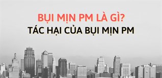 Bụi mịn PM là gì? Kích thước của các loại bụi mịn? Cách bảo vệ bản thân trước các tác hại của bụi mịn PM