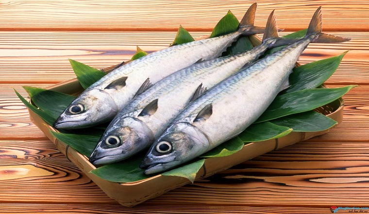 Làm cá bị bể mật đắng, làm theo cách này đảm bảo sạch 100%