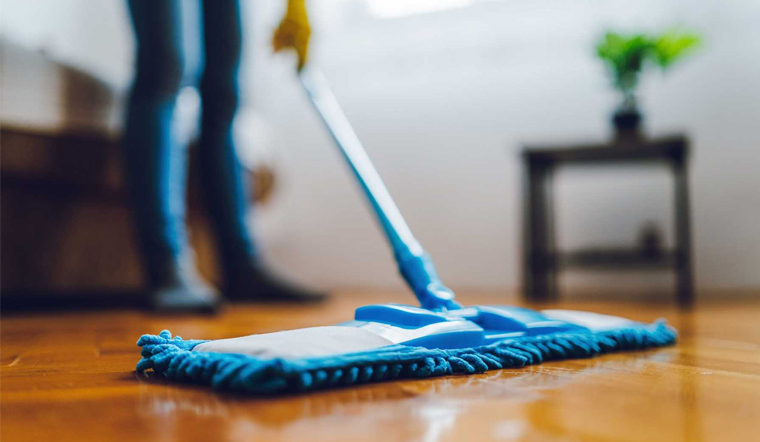 Điểm qua 5 loại cây lau nhà phổ biến trên thị trường hiện nay 