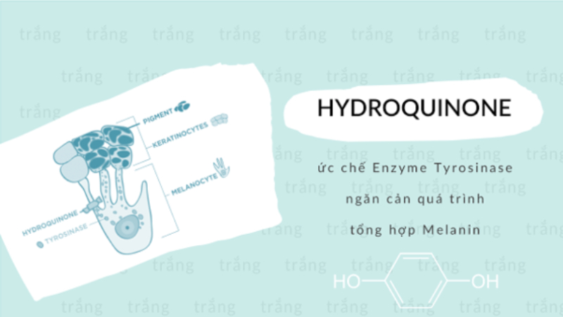 Hydroquinone (HQ)