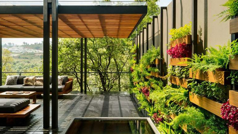 Vườn treo - Không gian xanh cho phòng khách