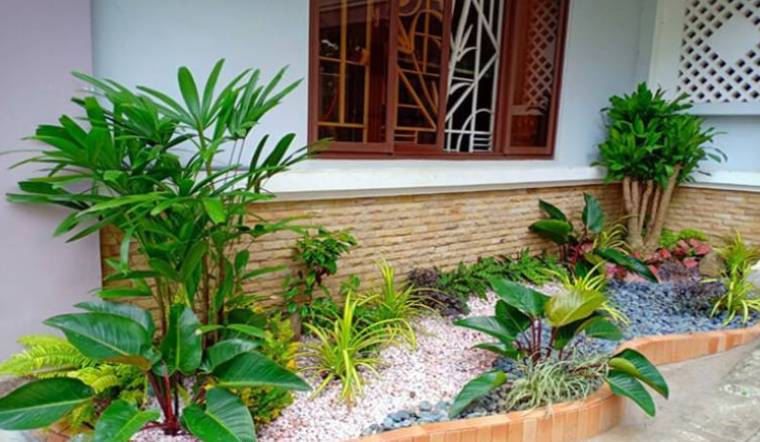 Vườn mini - Nơi tìm lại sự thư thái và cân bằng cuộc sống