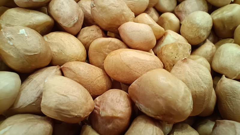 danh-gia-chi-tiet-realme-gt-neo 