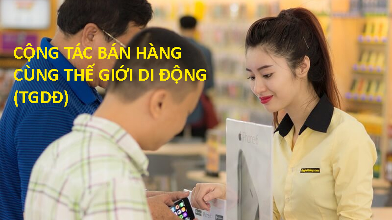 Dang-ky-CTV-ban-hang-dai-ly-TGDD-DMX Dang-ky-CTV-ban-hang-dai-ly-TGDD-DMX