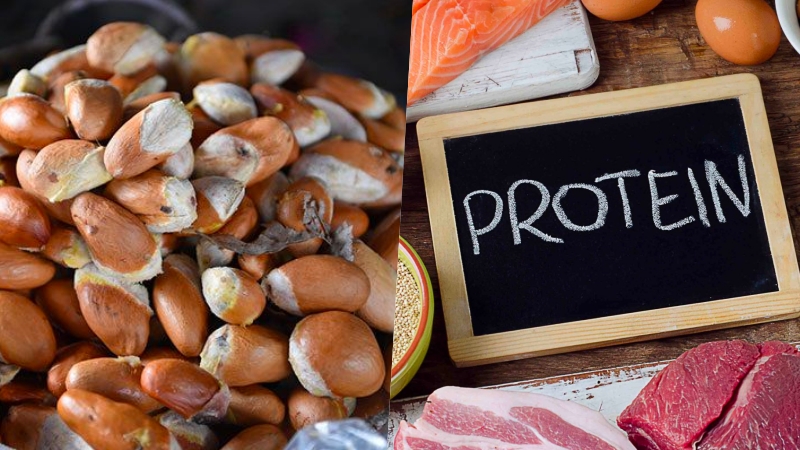 Hạt sầu riêng giúp cung cấp protein