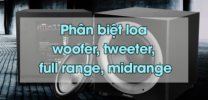 Phân biệt loa woofer, tweeter, full-range, mid-range trong âm thanh