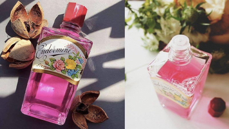 Chi tiết 152+ về nước hoa hồng shiseido eudermine mới nhất