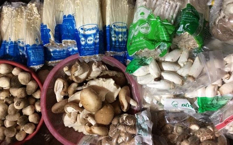 Cách phân biệt nấm đùi gà Việt Nam và Trung Quốc