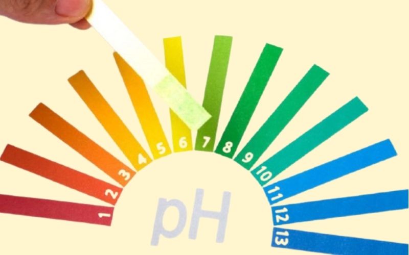 Cần dùng sản phẩm BHA có độ pH phù hợp với da