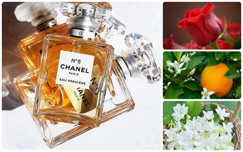 Nước Hoa Chanel No 5 của nước nào Review 3 chai Chanel N5 thơm nhất