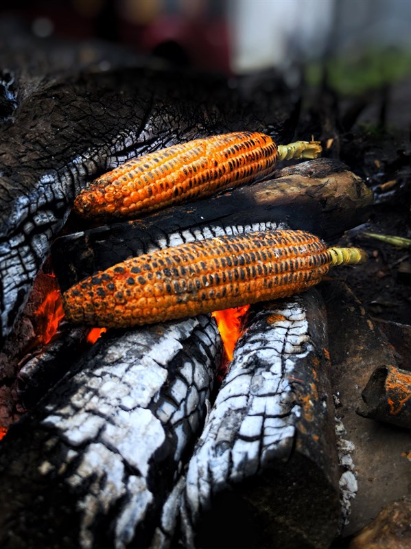 Huong-dan-tai-Google-Camera-8-2-moi-nhat