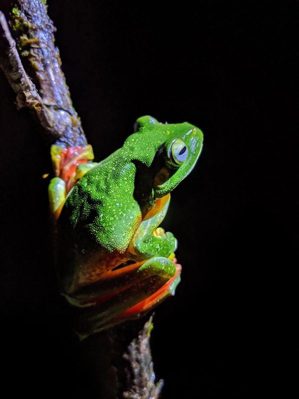 Huong-dan-tai-Google-Camera-8-2-moi-nhat