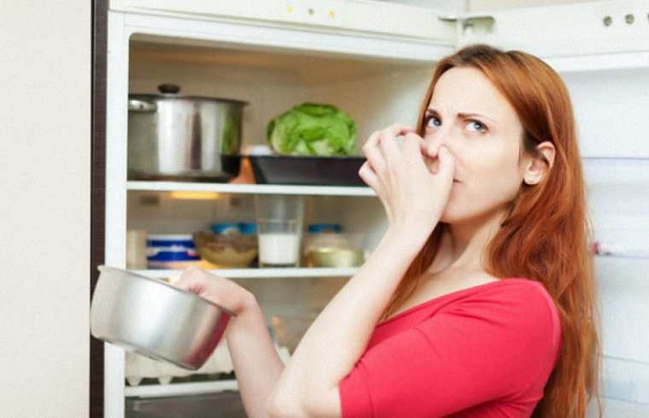 Tủ lạnh sắp hết gas dễ khiến thực phẩm bị hỏng, có mùi