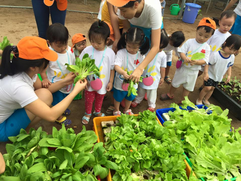 Gợi ý 9 địa điểm giúp trẻ học nuôi cá trồng rau, gần gũi với thiên nhiên > Nông Trại Bọ Cánh Cam 