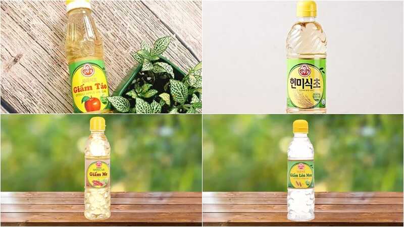 Các loại giấm Ottogi Hàn Quốc Các loại giấm Ottogi Hàn Quốc