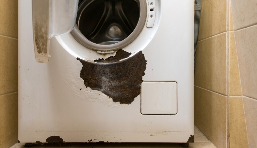 Máy giặt là một sản phẩm không thể thiếu trong mỗi gia đình hiện đại. Với nhiều ưu điểm và tính năng nổi trội, máy giặt đã giúp cho việc giặt đồ trở nên dễ dàng hơn bao giờ hết. Hãy xem những hình ảnh dưới đây để hiểu rõ hơn về sản phẩm này.