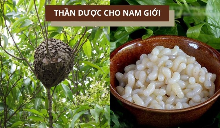 Tới mùa trứng ‘thần dược’ cho nam giới, giá cả triệu đồng nhưng ai cũng sẵn sàng móc hầu bao