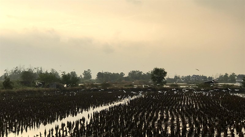 Ảnh chụp bằng chế độ tự động