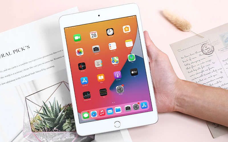 iPad Mini 7.9 inch Wifi Cellular 64GB (2019)