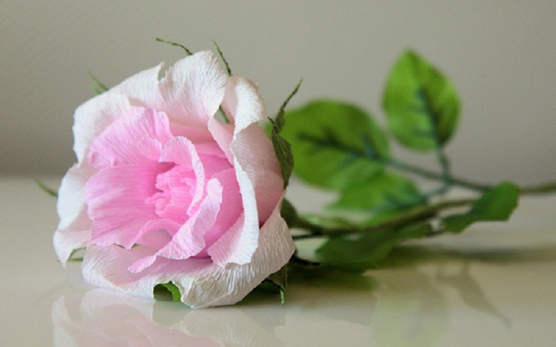 Cách làm hoa hồng bằng giấy nhún đơn giản