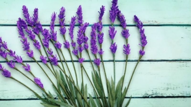 Những cành hoa lavender bằng giấy nhún siêu xinh