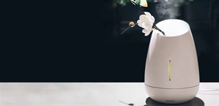 5 tiêu chí giúp bạn chọn mua máy xông tinh dầu tạo độ ẩm hiệu quả